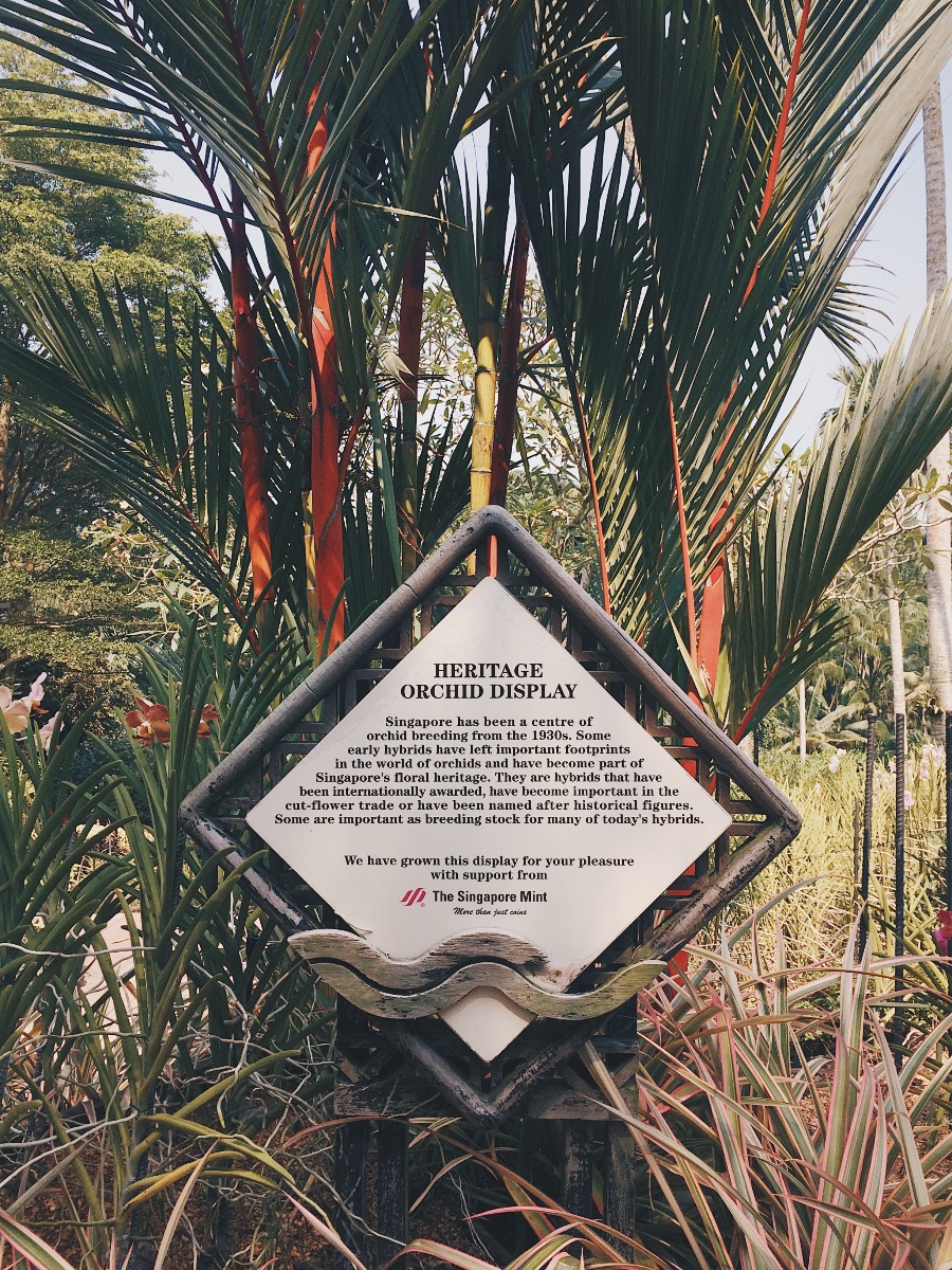 singapore botanic gardens