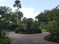 orchid, national orchid garden, singapore, travel, nature, beautiful, view