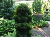 funny looking statue, orchids