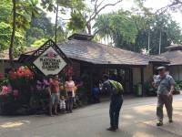 national orchid garden, singapore