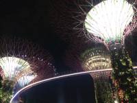 gardens by the bay, south, night lights