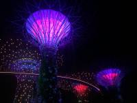 gardens by the bay, south, night lights, beautiful, sightseeing, amazing, spectacular