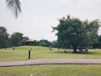 singapore botanic gardens