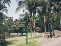 singapore botanic gardens