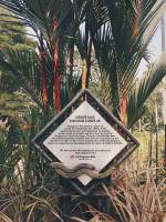 singapore botanic gardens