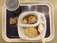 Hainanese chicken, universal studios singapore, sentosa island, amusement, attractions, travel, singapore, love, beautiful countryuniversal studios singapore, sentosa island, amusement, attractions, travel, singapore, love, beautiful country