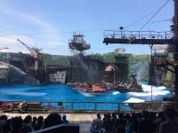 waterworld, live, play, universal studios singapore, sentosa island, amusement, attractions, travel, singapore, love, beautiful country