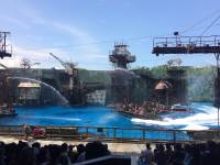 waterworld, live, play, universal studios singapore, sentosa island, amusement, attractions, travel, singapore, love, beautiful country
