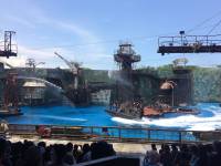 waterworld, live, play, universal studios singapore, sentosa island, amusement, attractions, travel, singapore, love, beautiful country
