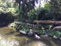 zoo, singapore, travel, explore