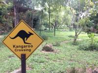 zoo, singapore, travel, explore