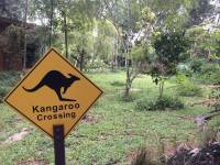 zoo, singapore, travel, explore