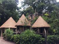 zoo, singapore, travel, explore