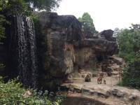 zoo, singapore, travel, explore