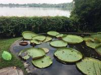 zoo, singapore, travel, explore