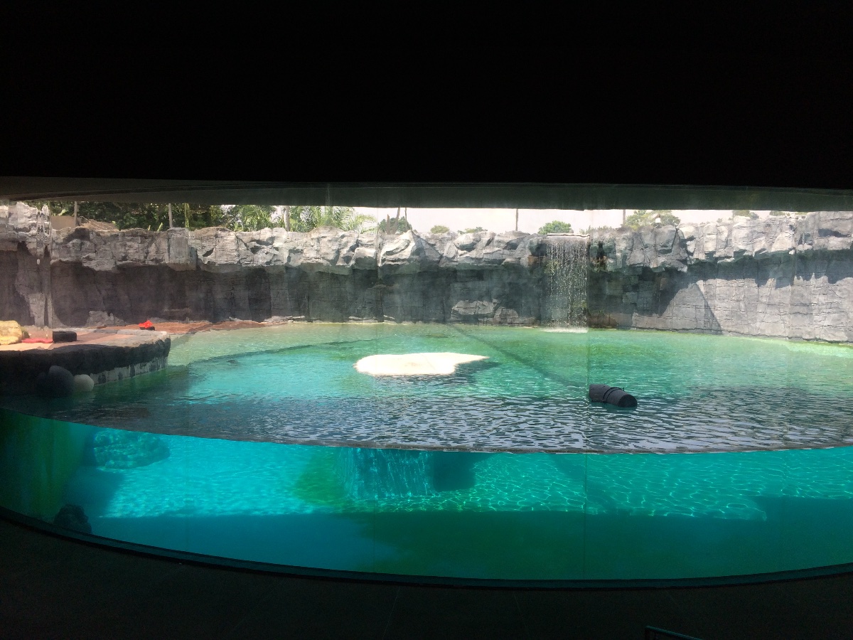 zoo, singapore, travel, explore