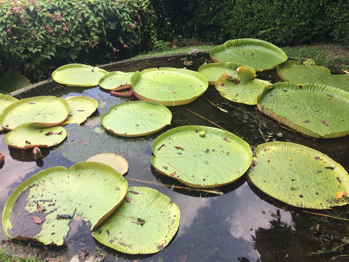 zoo, singapore, travel, explore