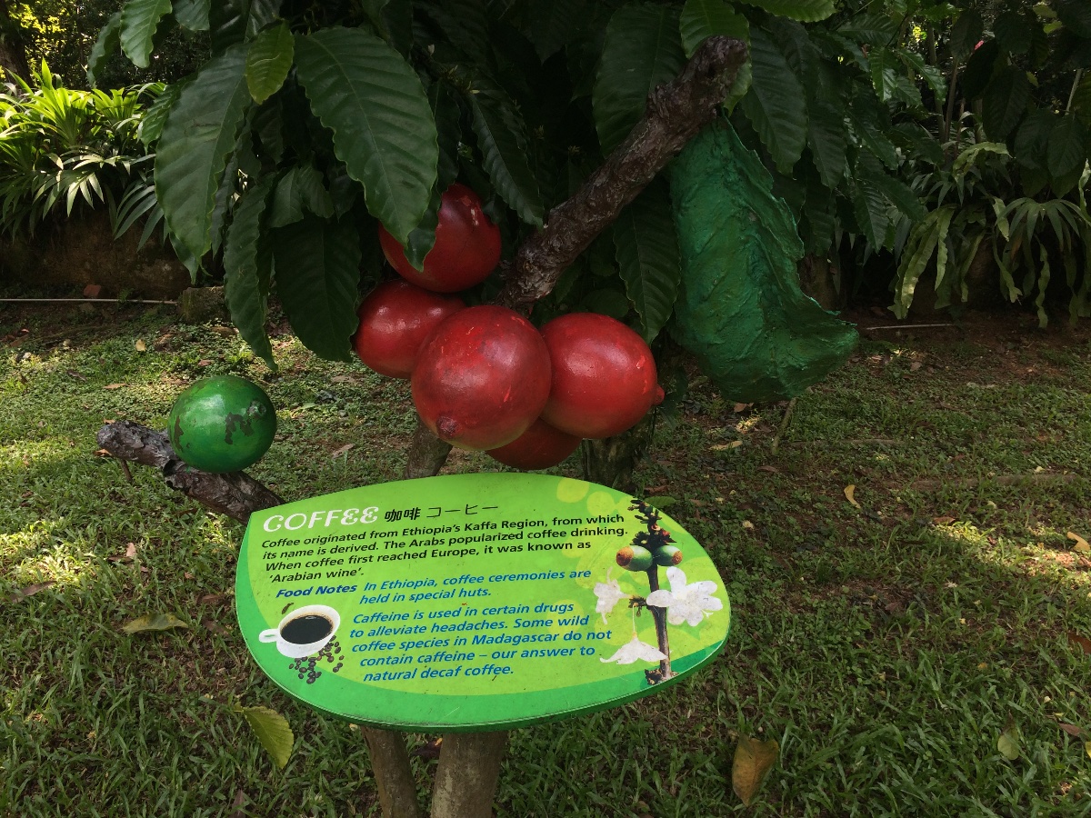 zoo, singapore, travel, explore