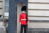 Royal Guard, Buckingham Palace, London, UK