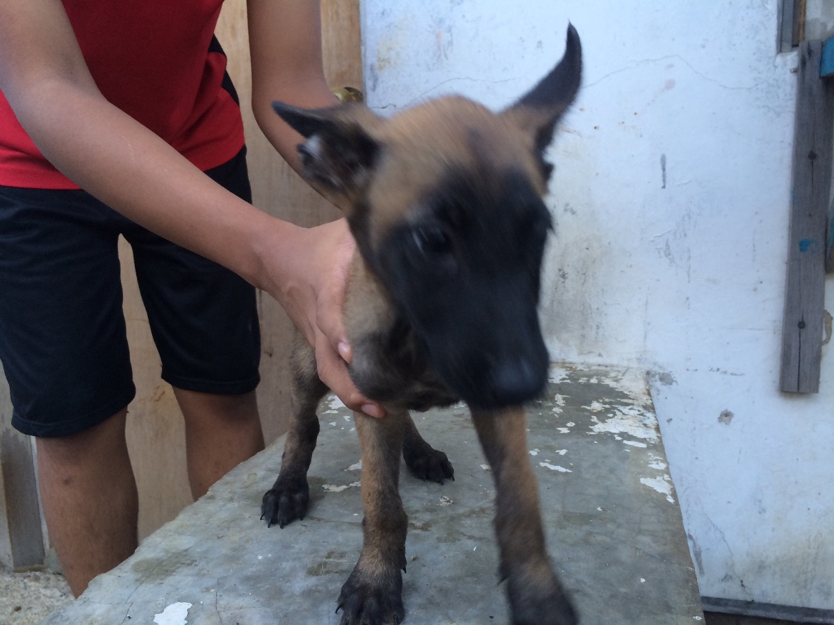 Photo uploaded by karam212, 61
