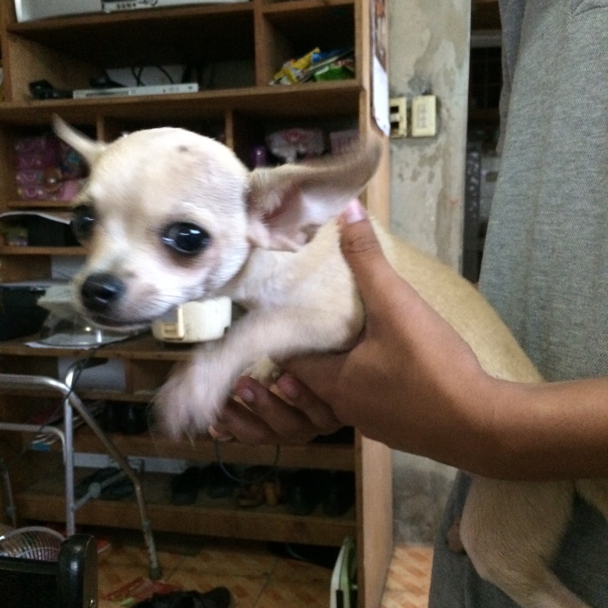 Photo uploaded by karam212, 67
