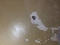 Wall