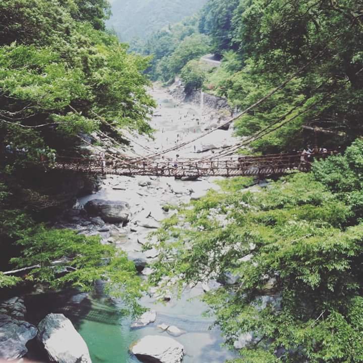 Kazurabashi Bridge naturally Made from the durable vines and cut woods from trees of Tokushima Japan