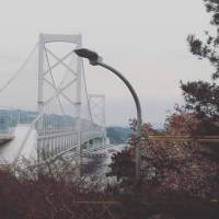 Kazurabashi Bridge naturally Made from the durable vines and cut woods from trees of Tokushima Japan