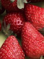 #Sweet, #strawberries, #vacay