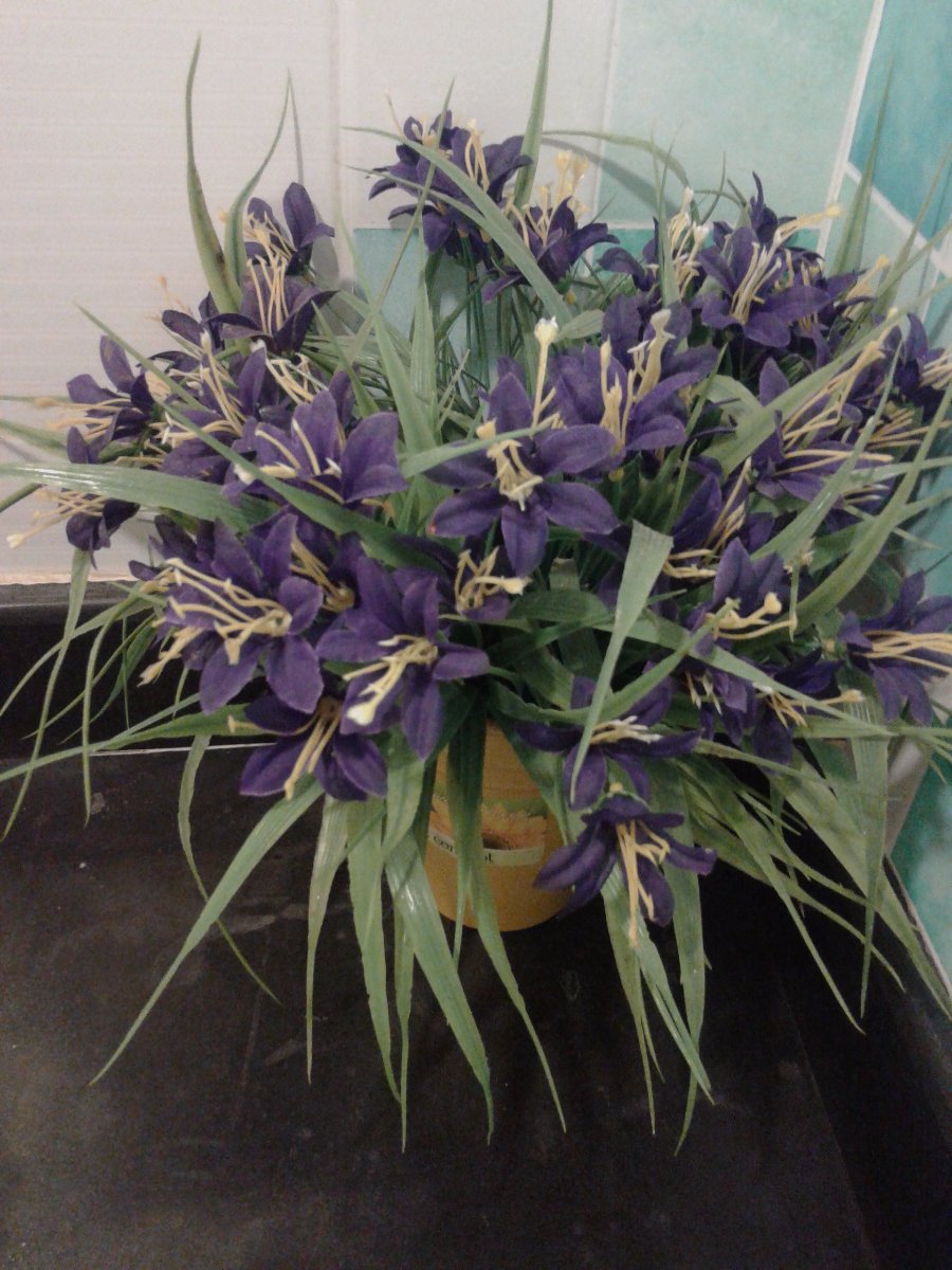 flower
