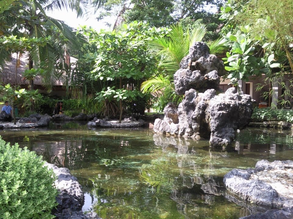 Photo uploaded by khuro123, 39