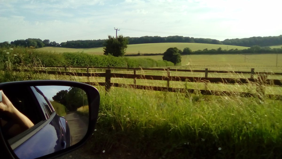 Field 