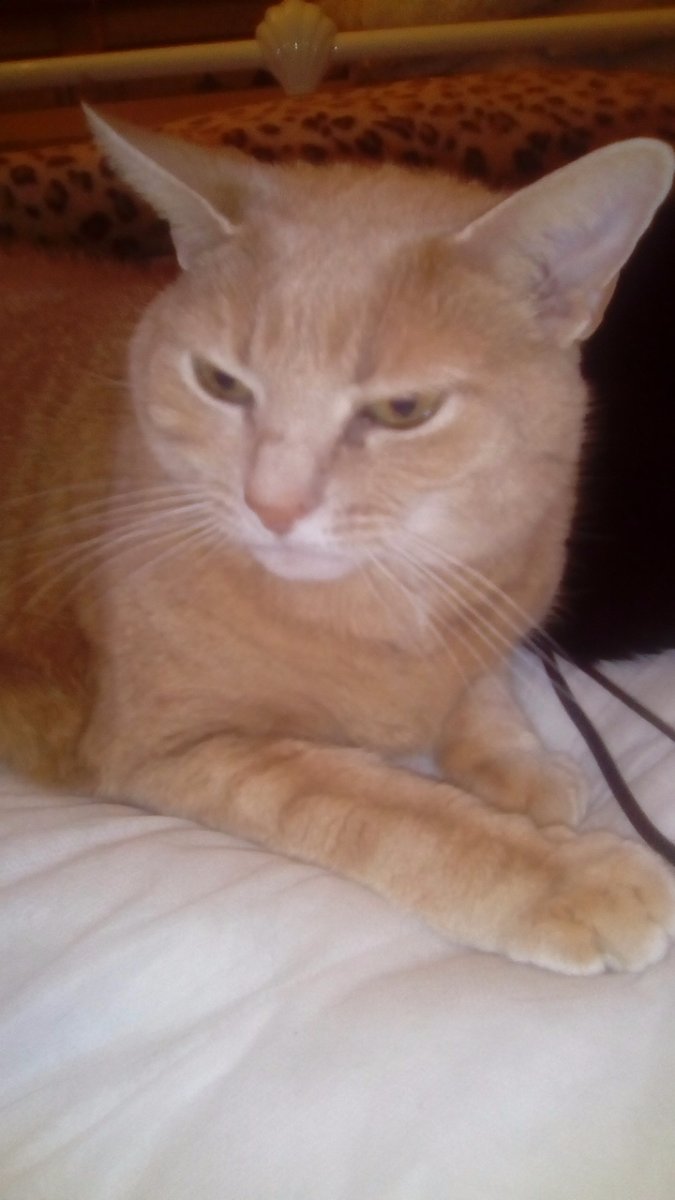Lola