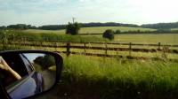Field 