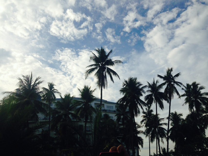 Coconut trees, blue sky, sandbar