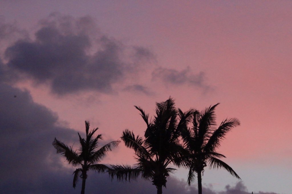 Coconuts nice clouds