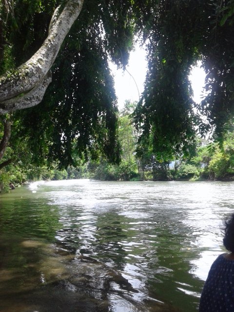 Cold, river