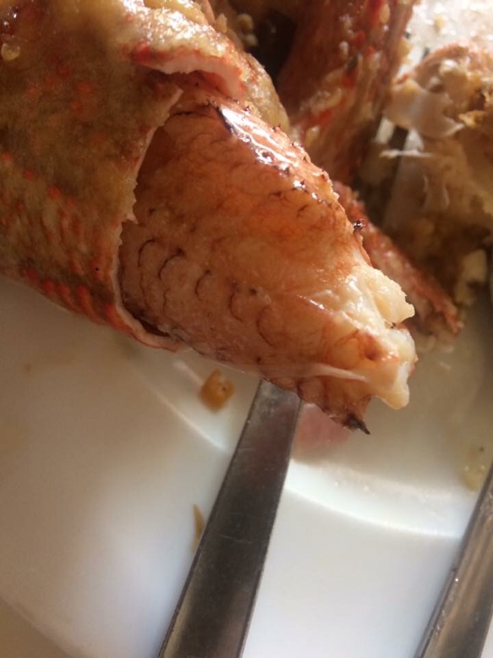 Lunch, foods, whatisthis