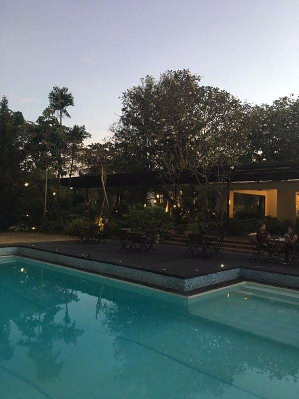 Pool, summer