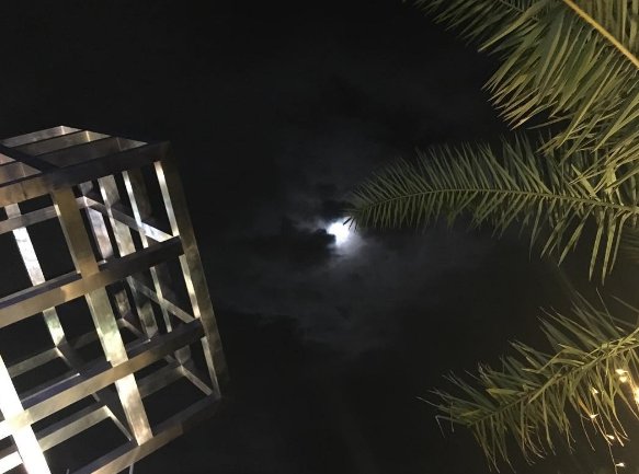 Shy moon, oh well 
