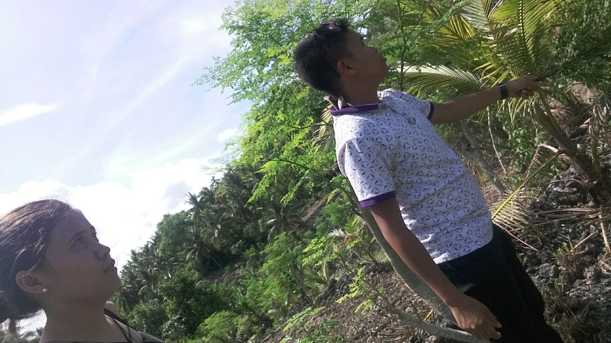 Stolen Picture, at Sibonga