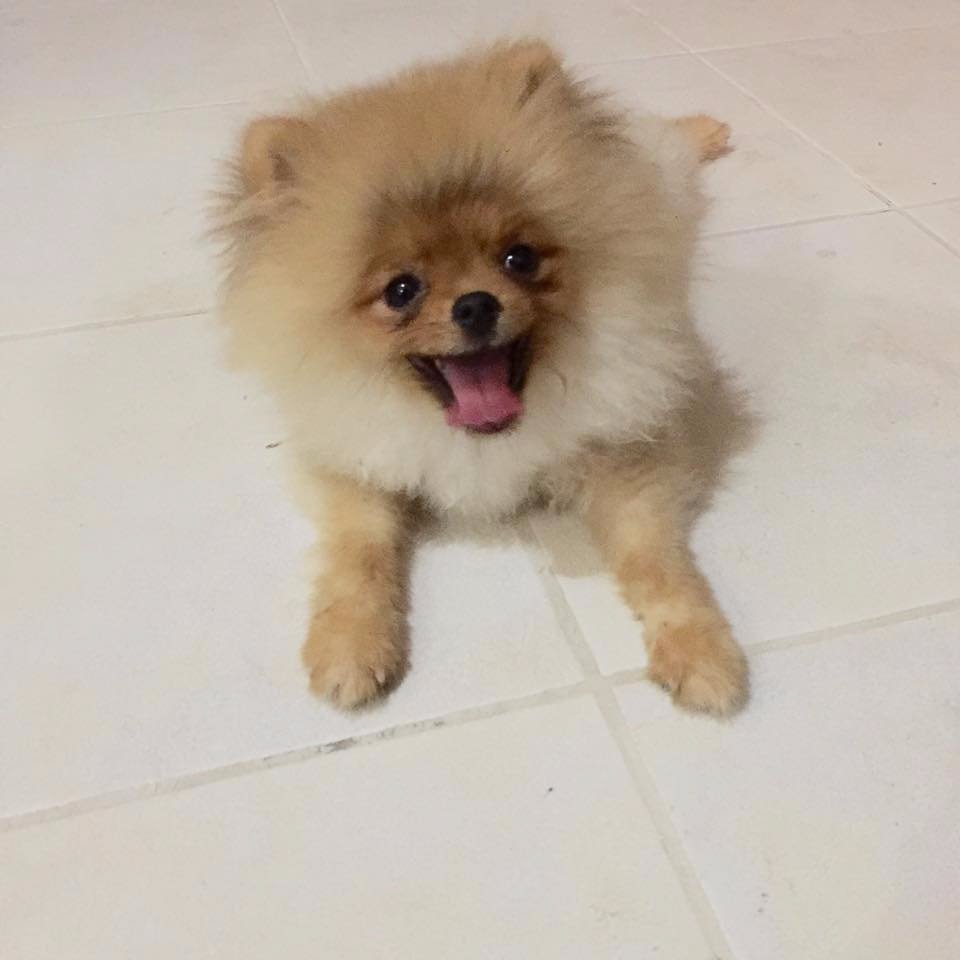 cutie love