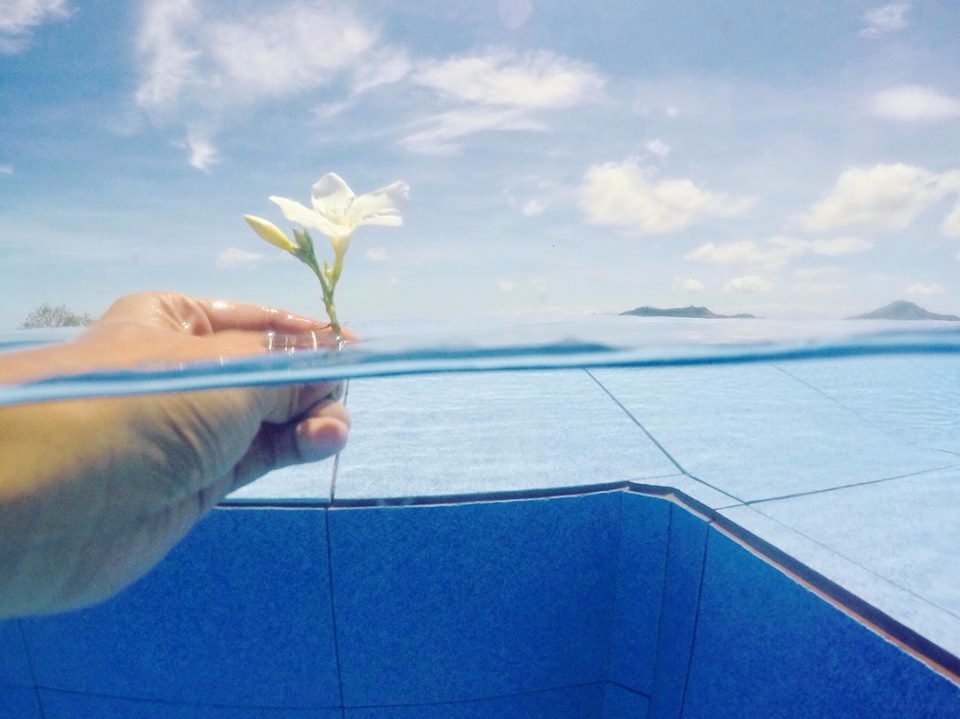 flower, for, you. pool, swimming