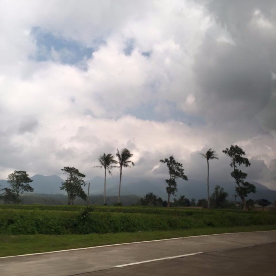 lovely, nature, vacation