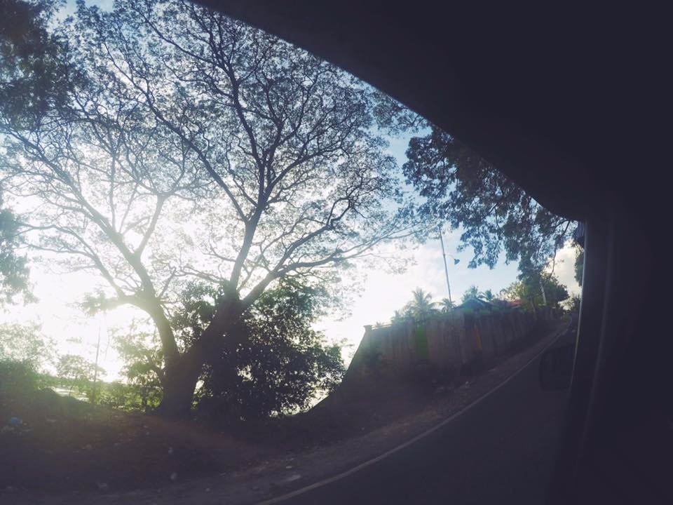 nice, picture