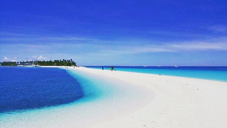 paradise take me back pretty please