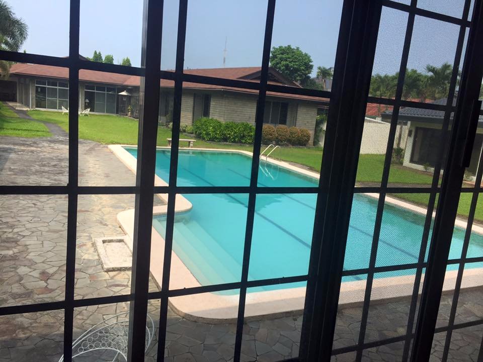 pool, please, swimming, time