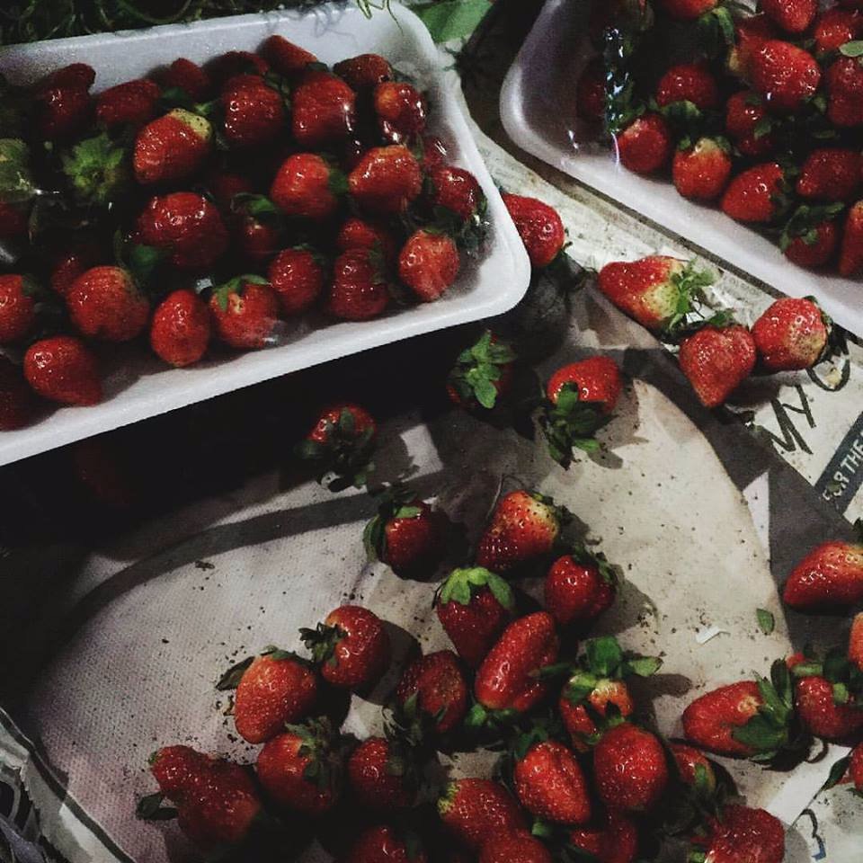 strawberries