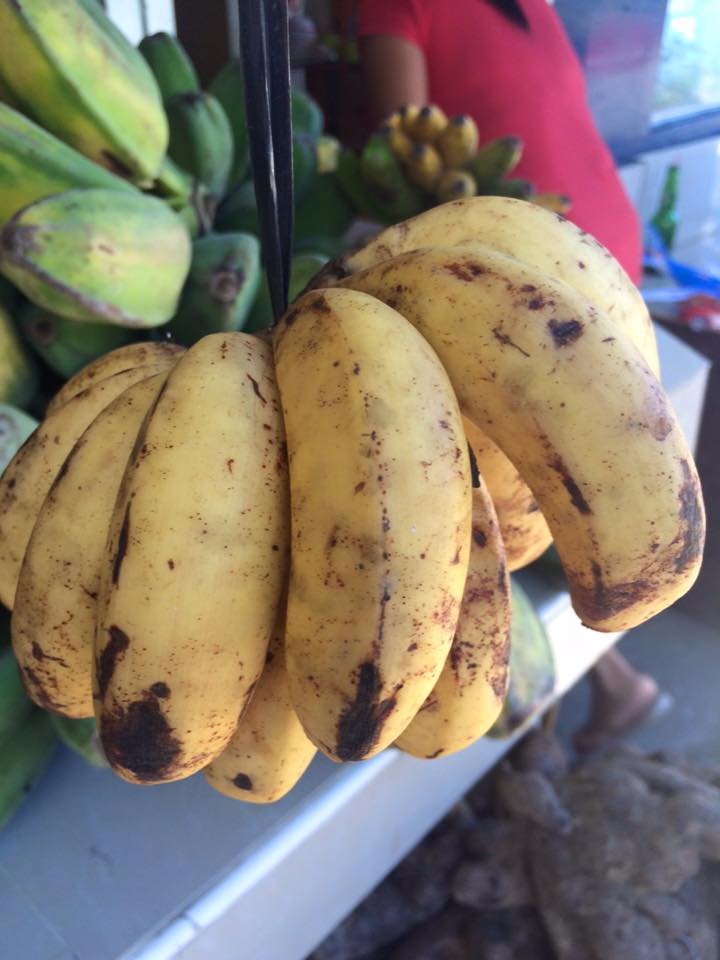 sweet, cutie, bananas