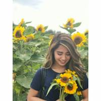 pretty riva, sunflower